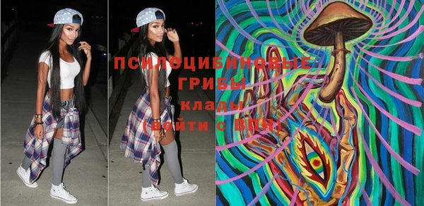 индика Абдулино