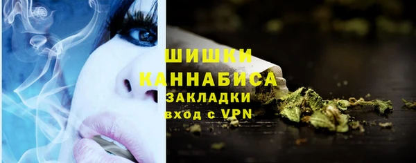 индика Абдулино