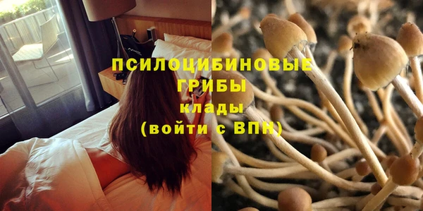 MESCALINE Алексеевка