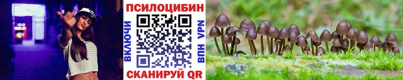 Галлюциногенные грибы Cubensis купить наркотики цена Клинцы