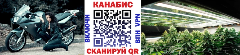 купить закладку  Клинцы  Канабис MAZAR 